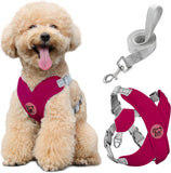 X-Frame No Pull Pet Harness