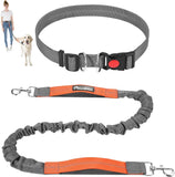 Hands Free Dog Leash with Waist Bag