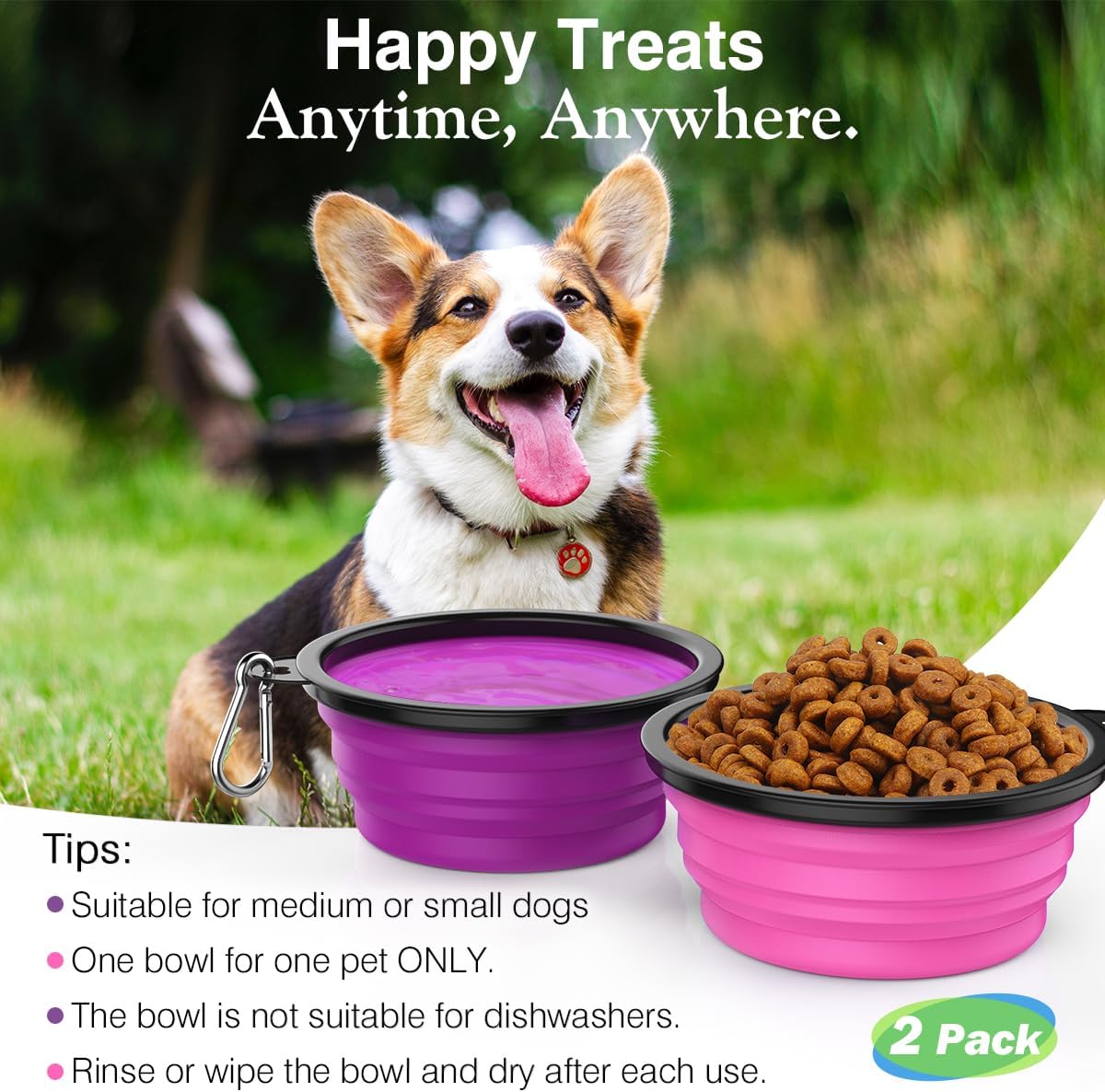 Collapsible 2PC Dog Bowls with Lid