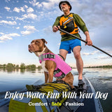 Dog Life Jacket