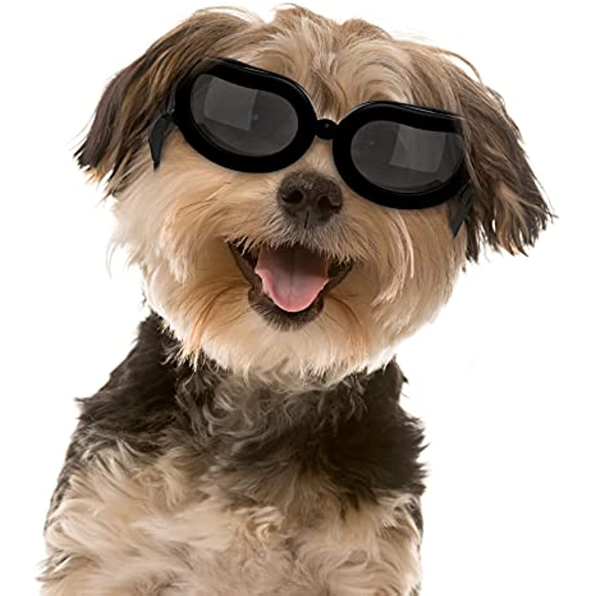 Dog Sunglasses