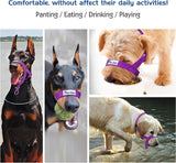 Dog Mouth Muzzle