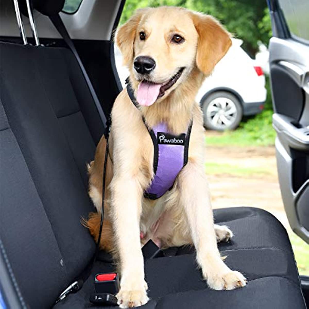 Dog Car Safety Seat Belt
