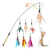 Feather Teaser Cat Toy