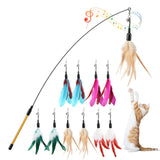 Feather Teaser Cat Toy