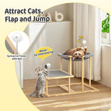 Pawaboo Elevated Cat Hammock Bed, 2-Tier Cats Bed with 2 Teasers
