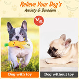 Squeak Dog Toys