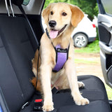 Dog Seatbelt