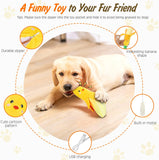 Squeak Dog Toys