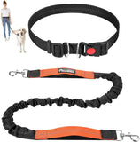 Hands Free Dog Leash with Waist Bag