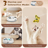 3-in-1 Automatic Interactive Cat Toy