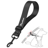 Dog Car Seat Belt