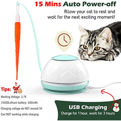 2 in 1 Electric Turntable Interactive Cat Toy