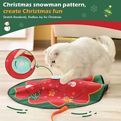 2 in 1 Electric Turntable Interactive Cat Toy