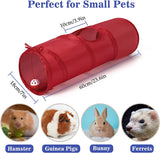 Small Animal Fun Tunnel