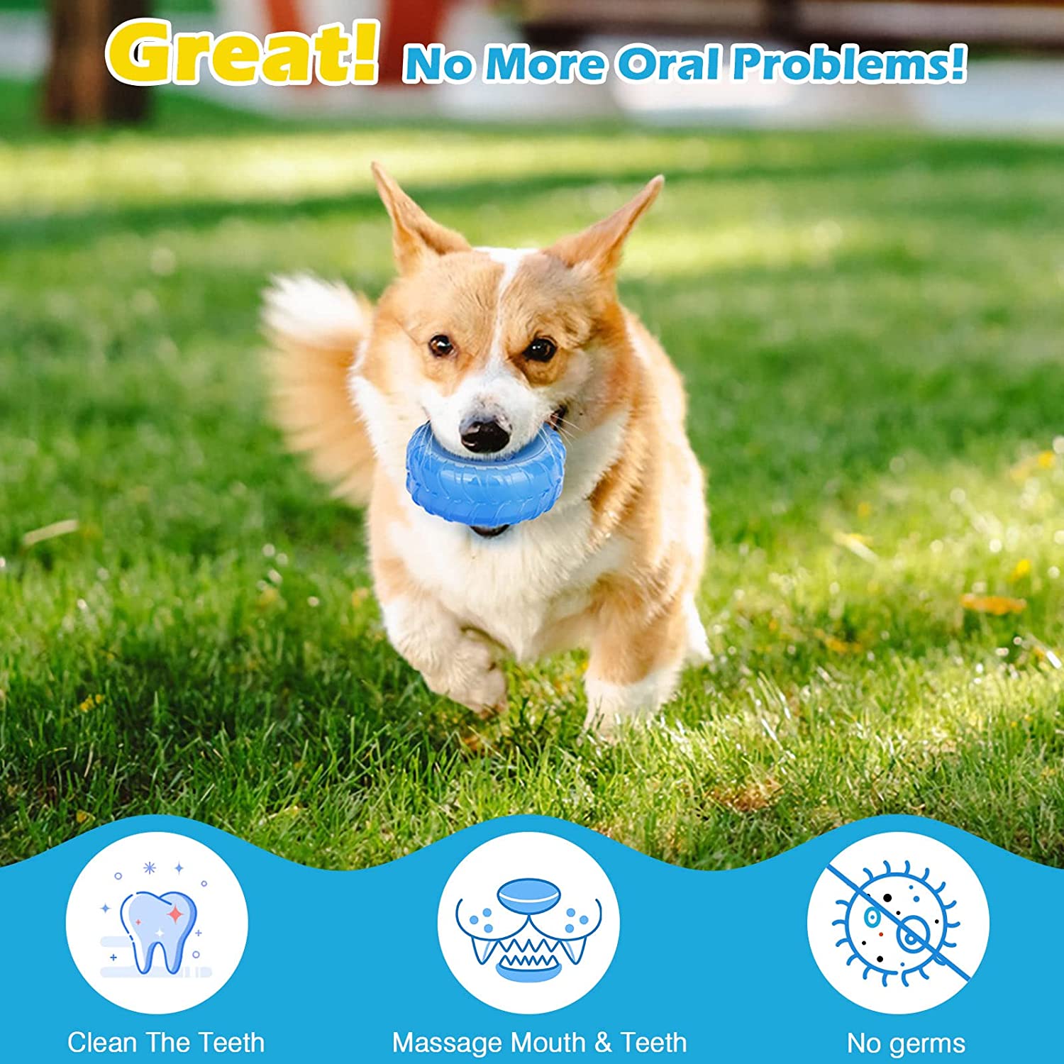 Pet Cooling Chew Toy