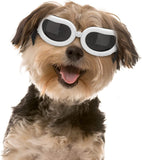 Dog Sunglasses