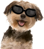 Dog Sunglasses