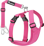 Dog Safety Vest Harness