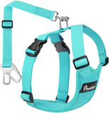 Dog Safety Vest Harness