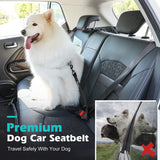 Dog Car Seat Belt