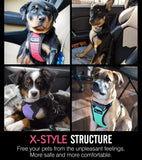 Dog Safety Vest Harness